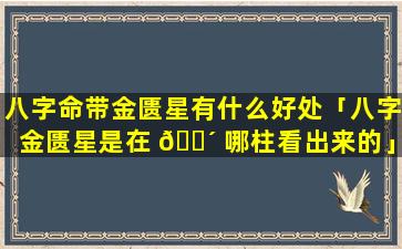 八字命带金匮星有什么好处「八字金匮星是在 🌴 哪柱看出来的」